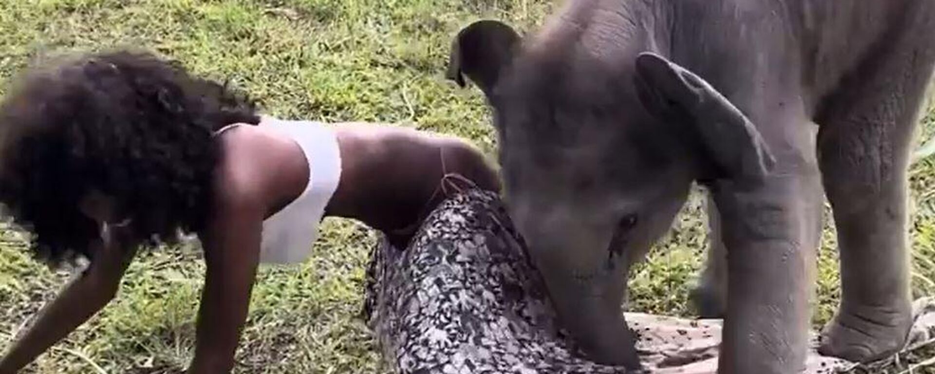 Un bebé elefante juega con una modelo - Sputnik Mundo, 1920, 25.06.2022