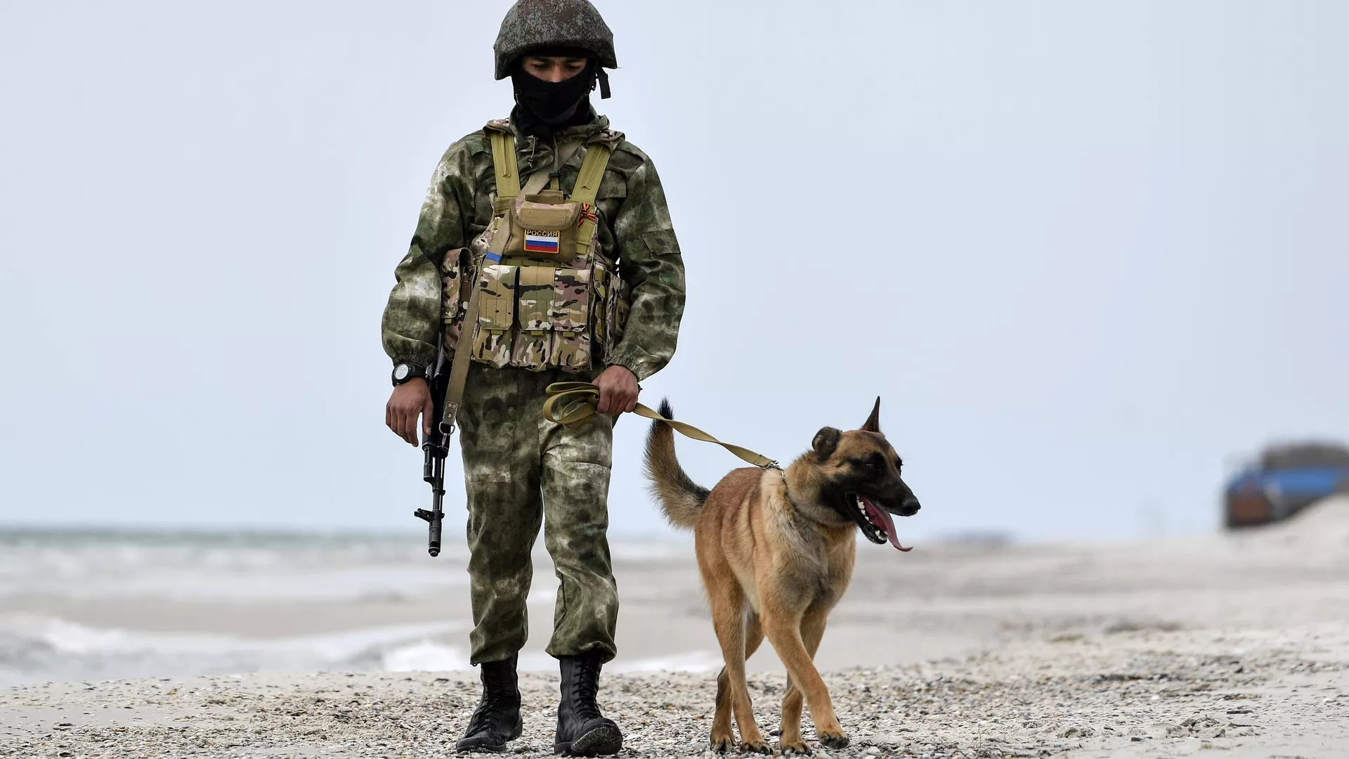 Soldado ruso con un perro patrulla en zona desminada