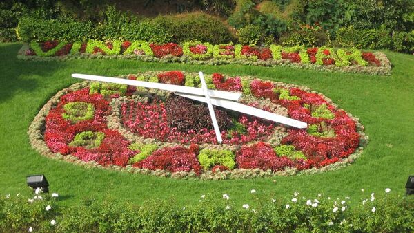 Reloj de flores de Viña del Mar - Sputnik Mundo