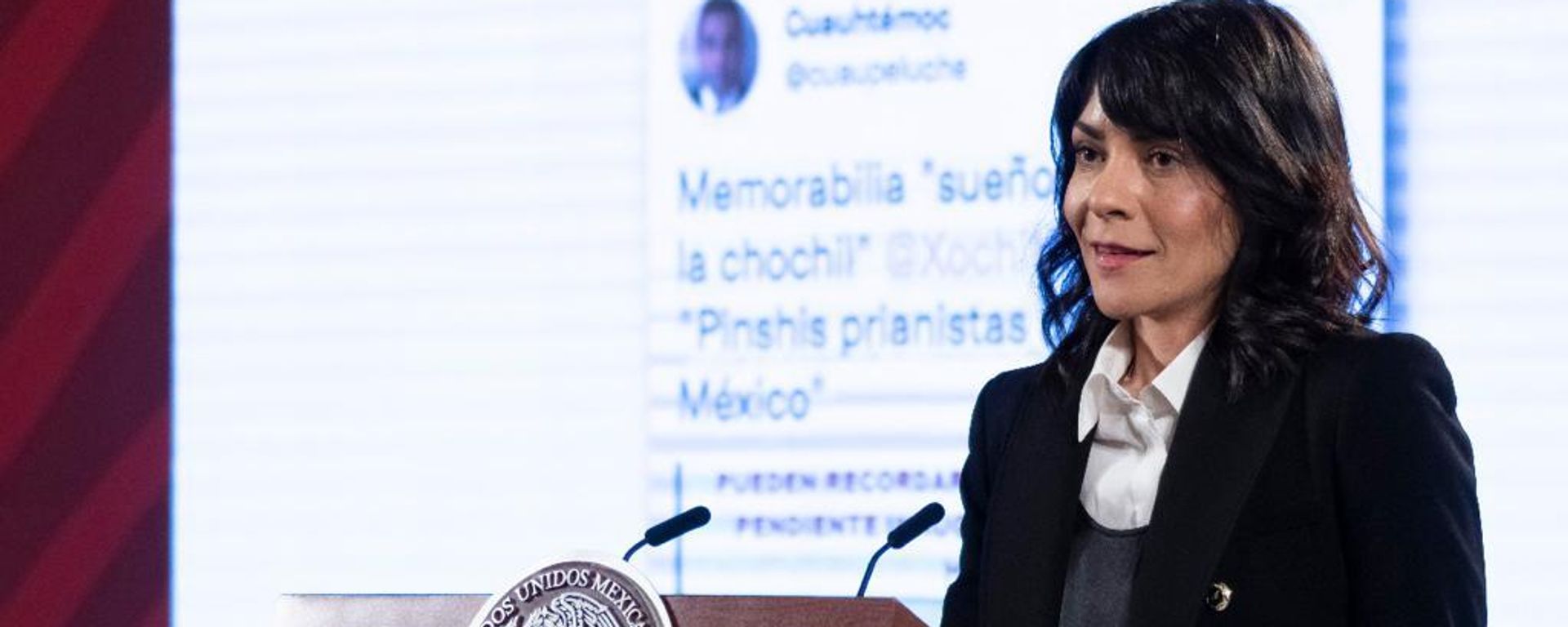 La titular de la sección ¿Quién es quién en las mentiras de la semana? del Gobierno de México, Ana García Vilchis La titular de la sección ¿Quién es quién en las mentiras de la semana? del Gobierno de México, Ana García Vilchis - Sputnik Mundo, 1920, 06.07.2022