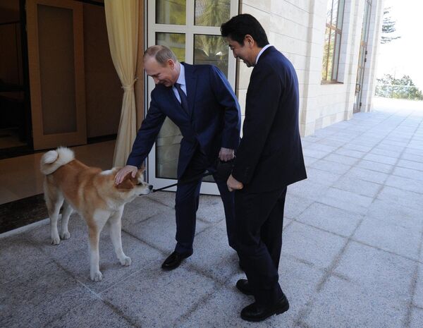 El político ha tratado de mejorar las relaciones con Rusia y ha expresado en repetidas ocasiones su intención de concluir un tratado de paz antes del final de su mandato.En la foto: el primer ministro japonés, Shinzo Abe, y el presidente ruso, Vladímir Putin, durante una reunión en la residencia Bocharov Ruchéi en Sochi (Rusia), el 8 de febrero de 2014. - Sputnik Mundo