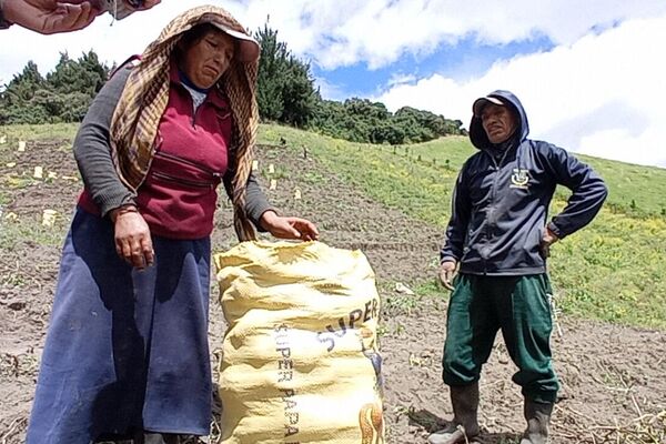 Hacienda San Antonio de Valencia, donde viven 150 familias campesinas de Ecuador - Sputnik Mundo