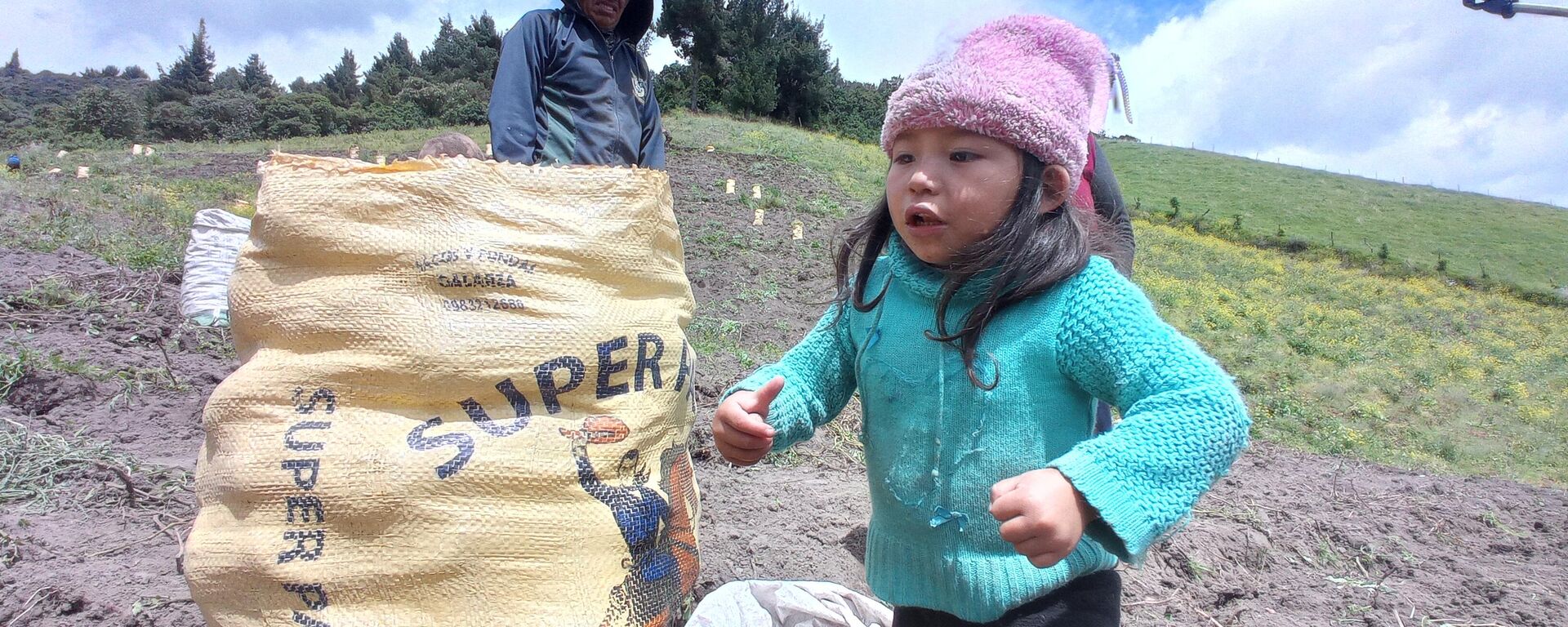 Hacienda San Antonio de Valencia, donde viven 150 familias campesinas de Ecuador - Sputnik Mundo, 1920, 09.07.2022