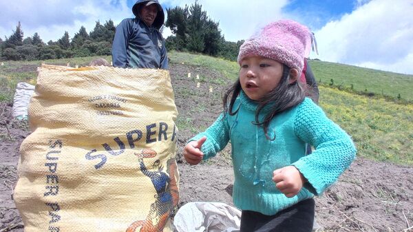 Hacienda San Antonio de Valencia, donde viven 150 familias campesinas de Ecuador - Sputnik Mundo