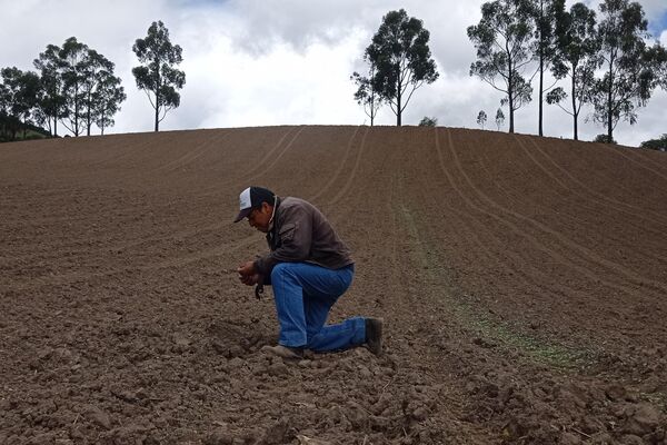 Hacienda San Antonio de Valencia, donde viven 150 familias campesinas de Ecuador - Sputnik Mundo