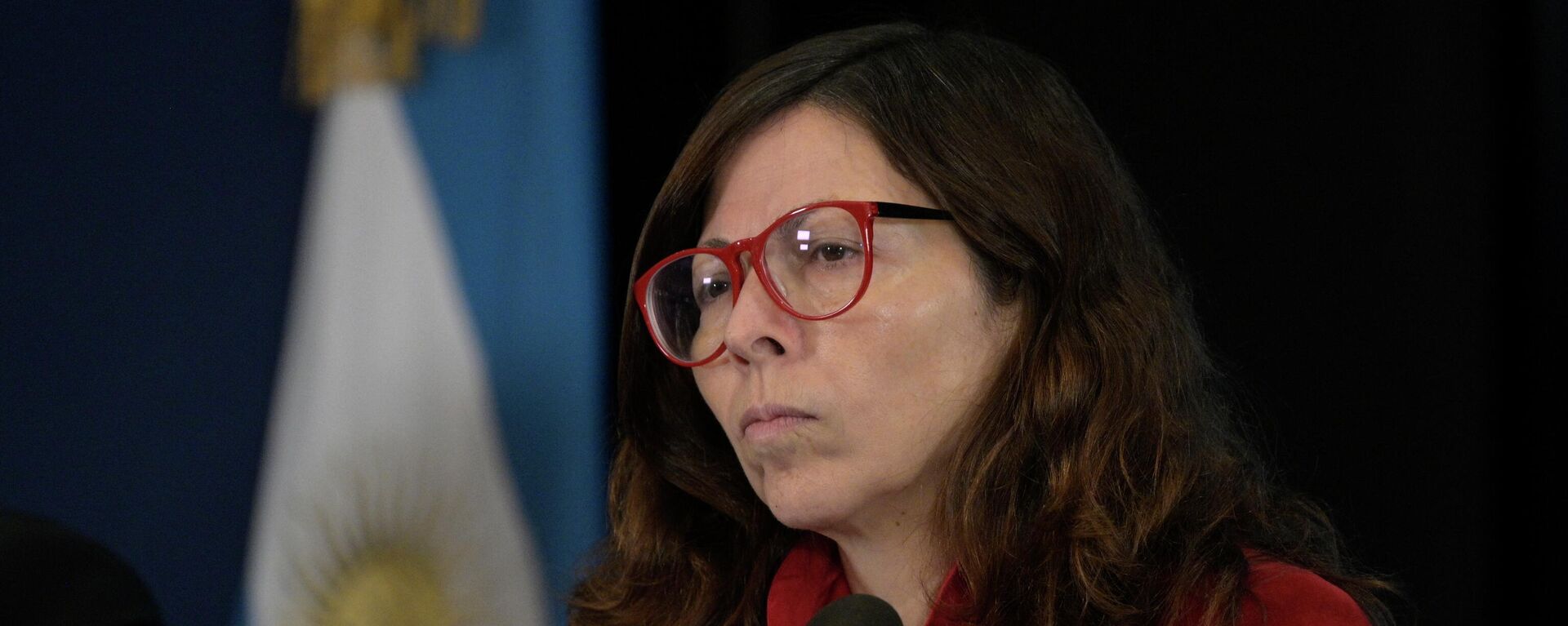 La ministra de Economía de Argentina, Silvina Batakis - Sputnik Mundo, 1920, 13.07.2022