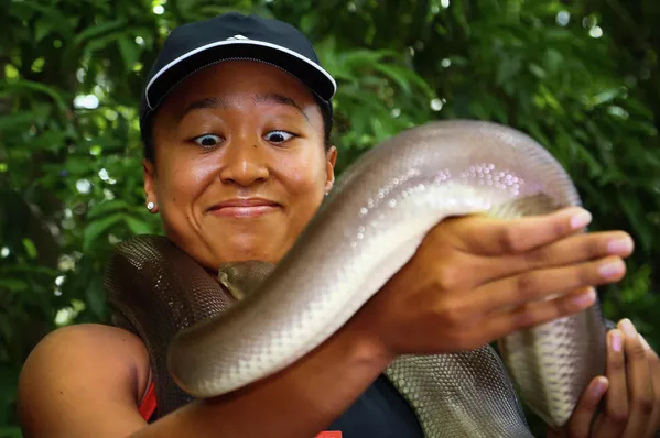 La tenista japonesa Naomi Osaka con una pitón olivácea durante su visita a la reserva de koalas Lone Pine en Brisbane, Australia. - Sputnik Mundo