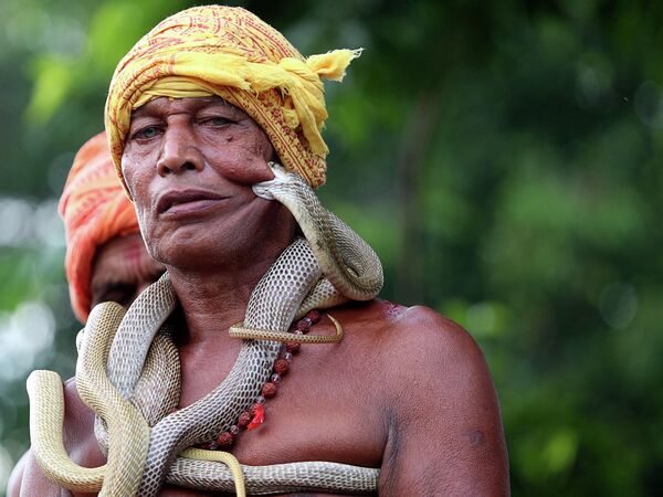 Un encantador de serpientes actúa en el festival religioso Maa Mansa Puja en Dhalbhumgarh, la India. - Sputnik Mundo