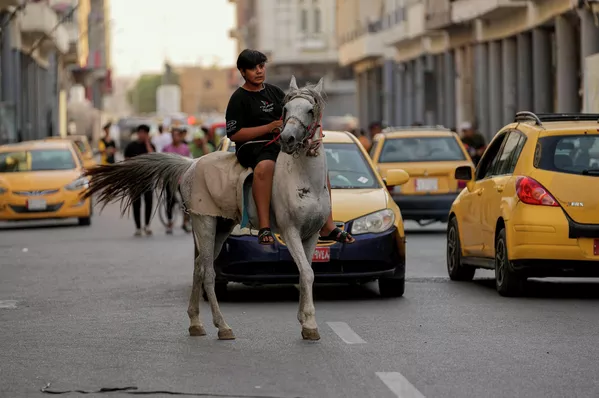 Un niño a caballo durante las celebraciones del Eid al-Adha en el centro de Bagdad, Irak. - Sputnik Mundo