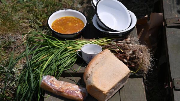 Comida en el campo - Sputnik Mundo