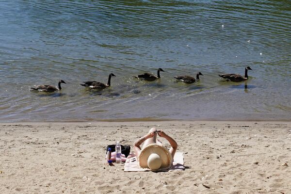 Patos nadando en el Parque Discovery en Sacramento, California, Estados Unidos. - Sputnik Mundo