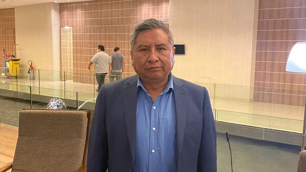 El canciller de Bolivia, Rogelio Mayta, entrevistado por Sputnik - Sputnik Mundo