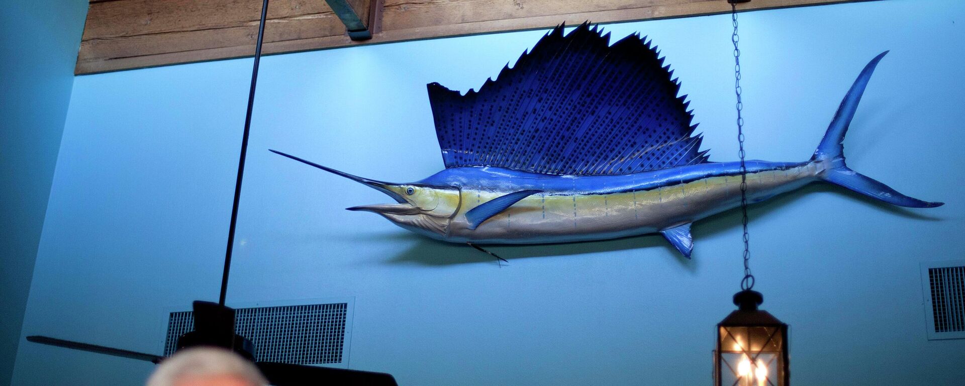 Pez espada (imagen referencial) - Sputnik Mundo, 1920, 25.07.2022