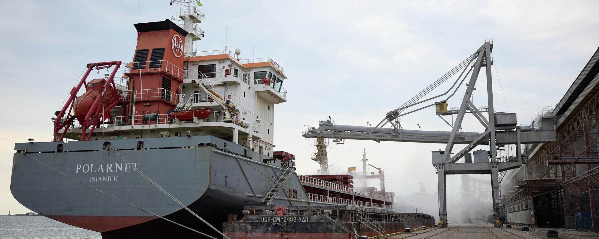 Granelero turco Polarnet en el puerto de Chernomorsk, Ucrania Granelero turco Polarnet en el puerto de Chernomorsk, Ucrania - Sputnik Mundo, 1920, 05.08.2022