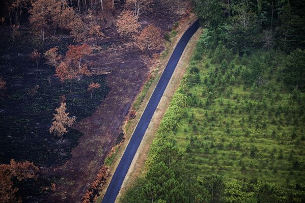 Esta vista aérea tomada el 29 de julio de 2022 muestra un bosque quemado tras los incendios forestales cerca de Landiras, en el suroeste de Francia. La prefectura de Gironda dijo que los dos incendios, que destruyeron 20.800 hectáreas de bosque en los últimos 10 días y provocaron la evacuación de más de 36.000 personas, están apagados, pero que los bomberos aún deben permanecer en el lugar para vigilar la posible reactivación de los incendios. - Sputnik Mundo