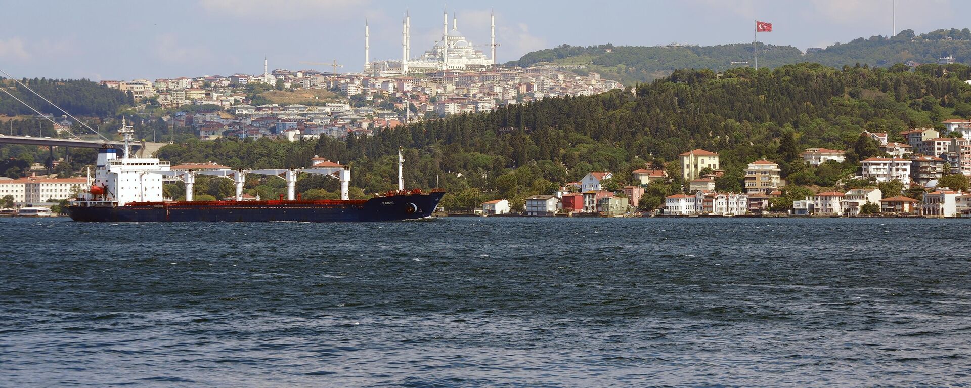 El carguero con grano ucraniano que salió recientemente del puerto ucraniano de Odesa  - Sputnik Mundo, 1920, 06.08.2022