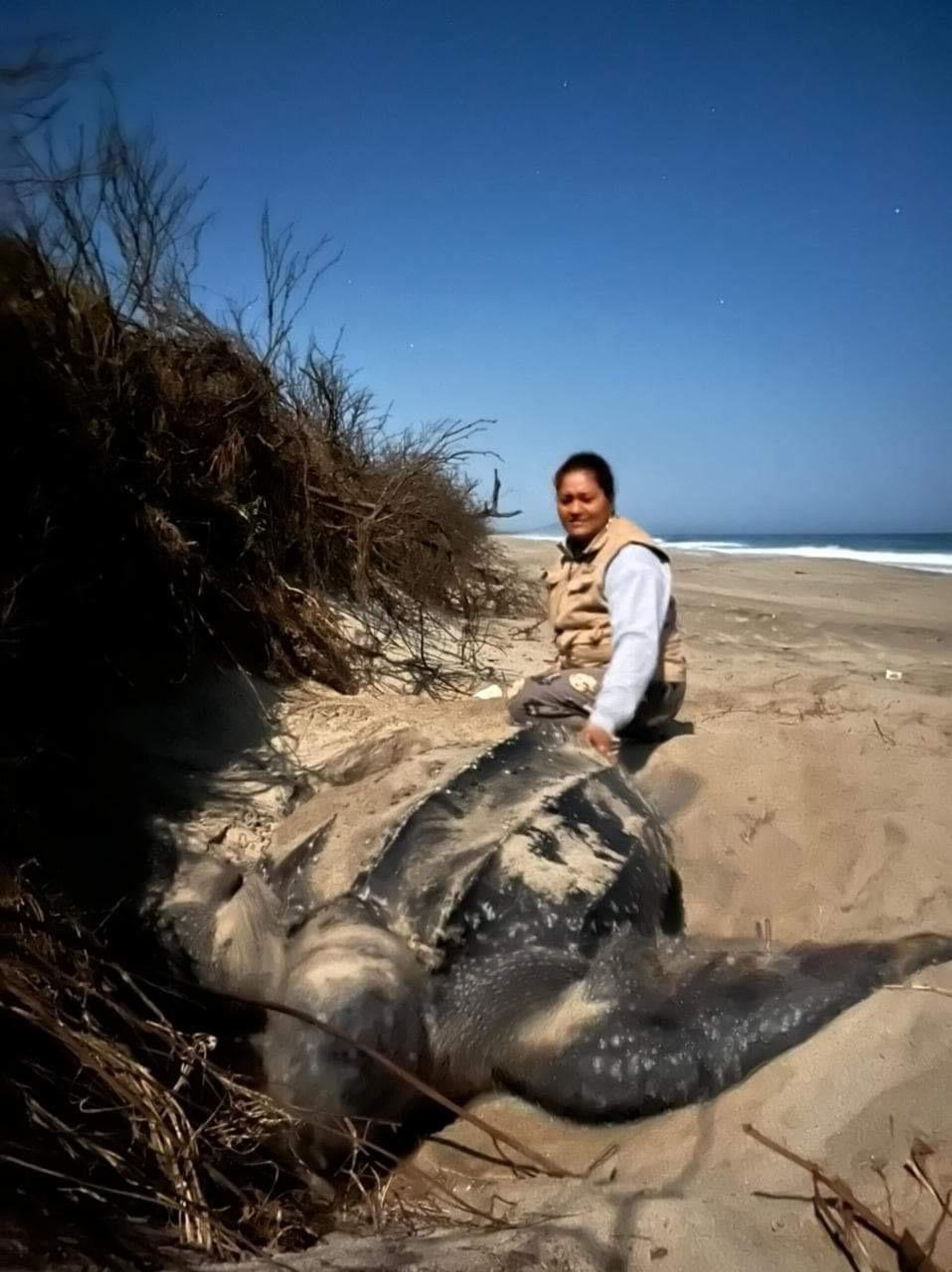 La activista mexicana Berta Chávez en una playa de Oaxaca, México - Sputnik Mundo, 1920, 06.08.2022