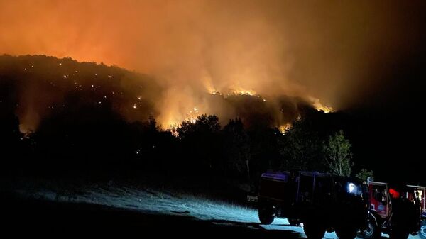 Un incendio en el sur de Francia  - Sputnik Mundo