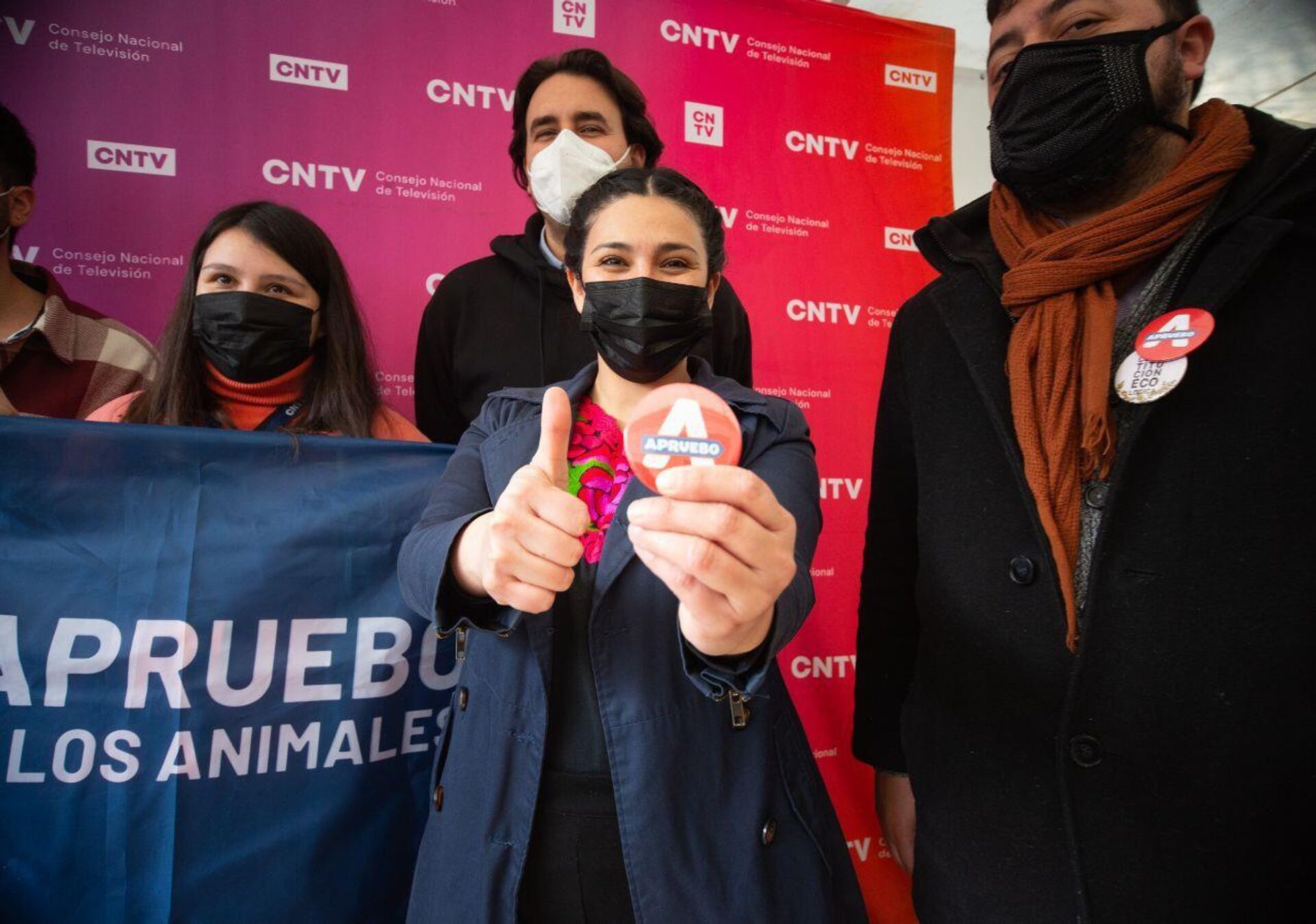 Karol Cariola, coordinadora del comando Aprueba x Chile - Sputnik Mundo, 1920, 09.08.2022