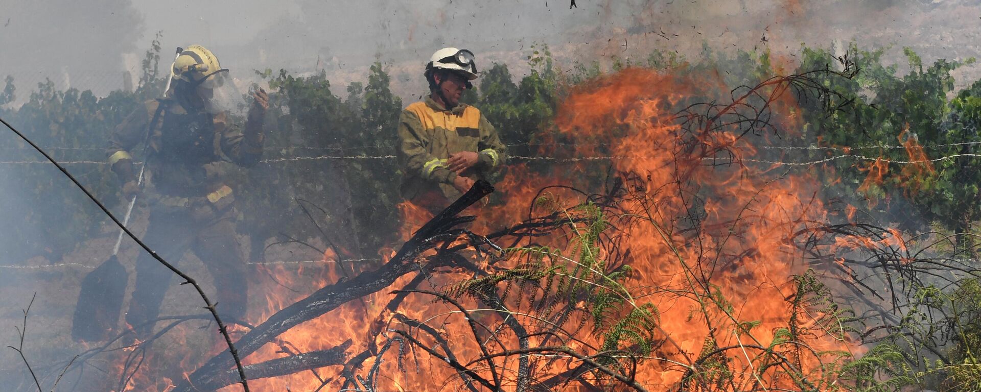 Incendios forestales en España - Sputnik Mundo, 1920, 16.08.2022