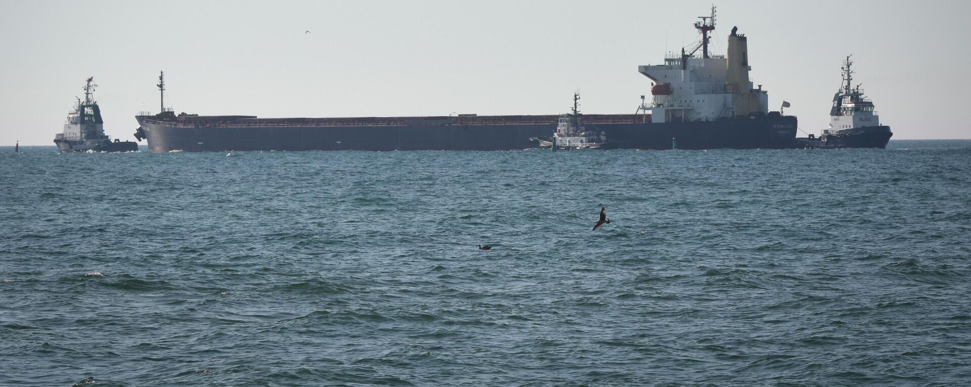 Un cargo con grano ucraniano - Sputnik Mundo, 1920, 13.08.2022