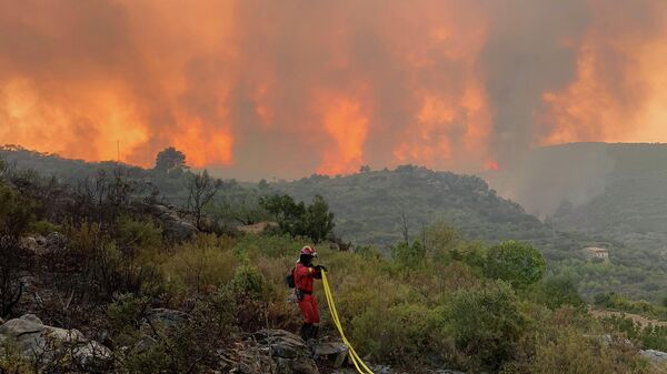 El incendio forestal declarado el 15 de agosto en el municipio de Bejís, provincia de Castellón (España), se extende - Sputnik Mundo