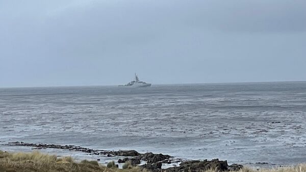 Las Islas Malvinas - Sputnik Mundo