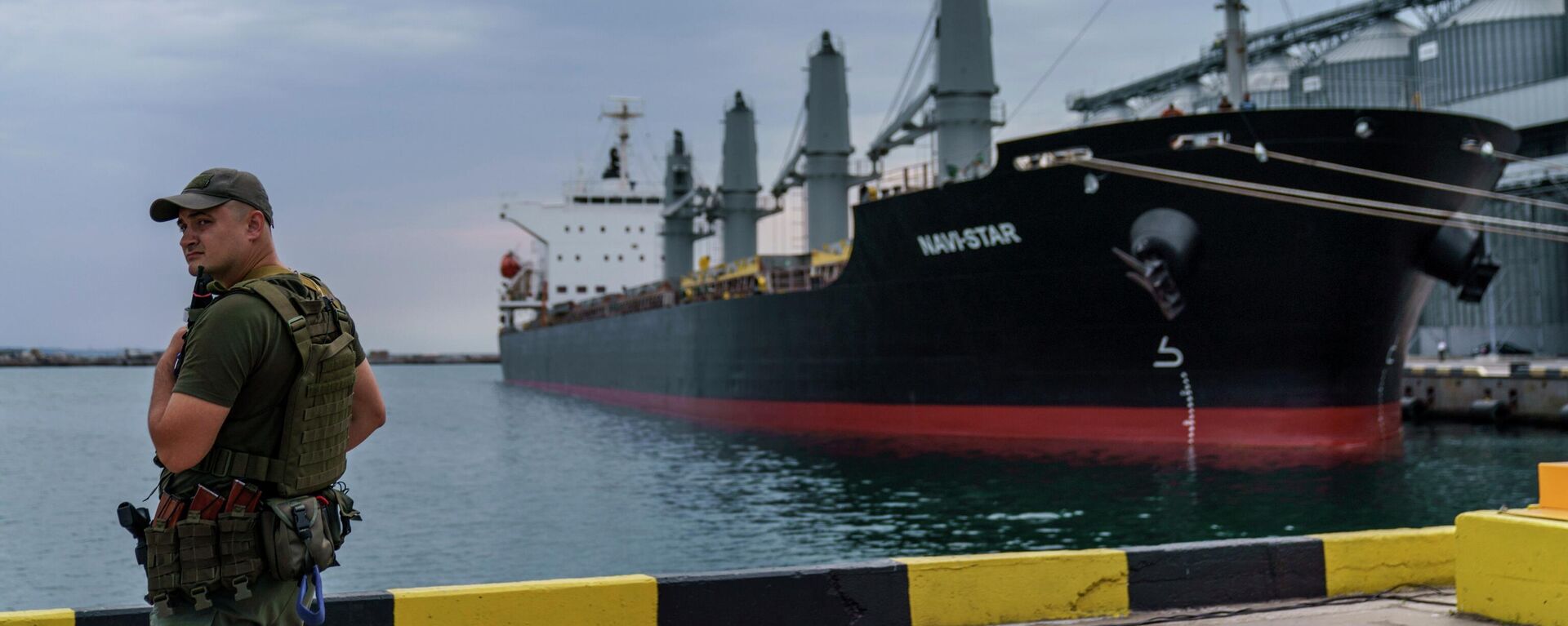 Un carguero con grano ucraniano - Sputnik Mundo, 1920, 18.10.2022