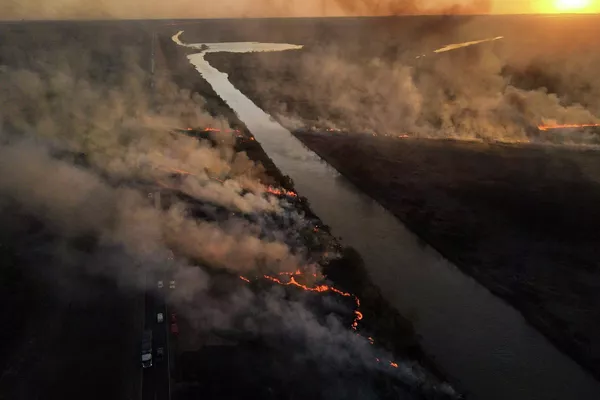 Incendio natural en las afueras de Victoria, provincia de Entre Ríos, Argentina. Incendio natural en las afueras de Victoria, provincia de Entre Ríos, Argentina. - Sputnik Mundo