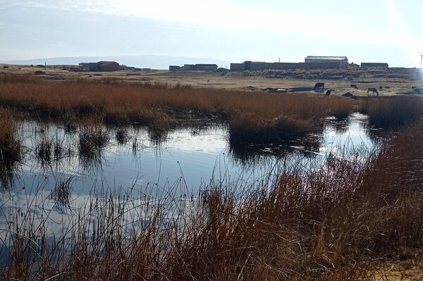 Jóvenes de la comunidad indígena Iruhito Urus crean robots con plantas acuáticas - Sputnik Mundo