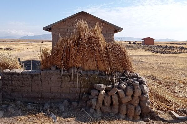 Jóvenes de la comunidad indígena Iruhito Urus crean robots con plantas acuáticas - Sputnik Mundo