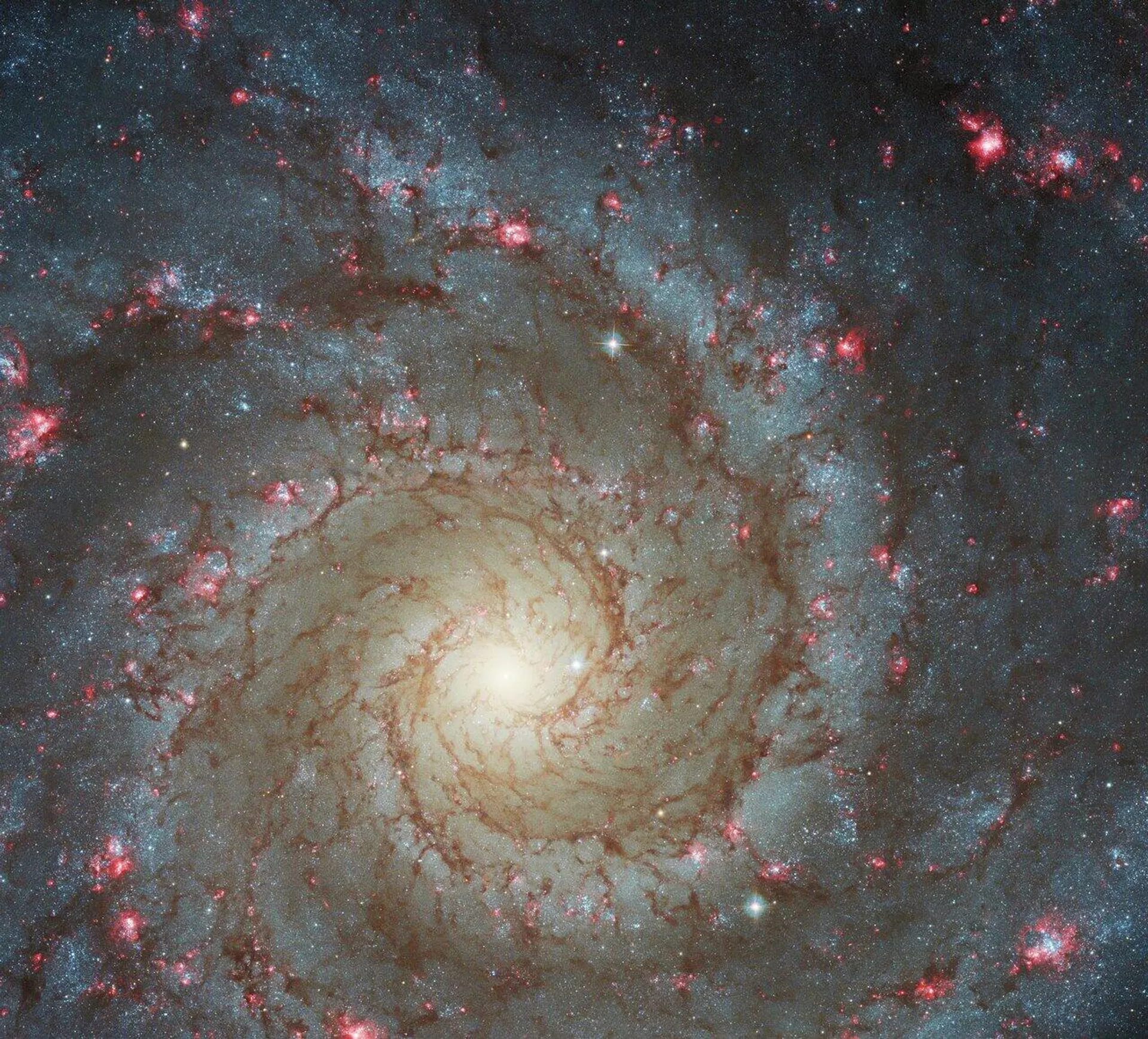 La imagen de la Galaxia Fantasma tomada por el telescopio Hubble La imagen de la Galaxia Fantasma tomada por el telescopio Hubble - Sputnik Mundo, 1920, 01.09.2022