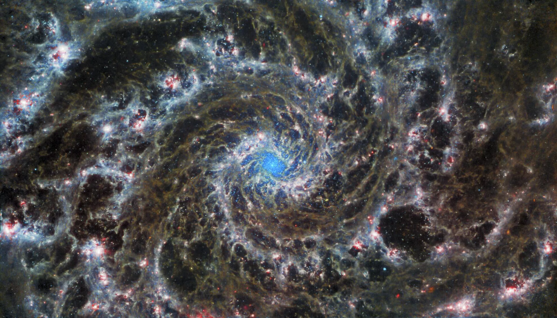 La imagen de la Galaxia Fantasma tomada por el telescopio James Webb La imagen de la Galaxia Fantasma tomada por el telescopio James Webb - Sputnik Mundo, 1920, 01.09.2022