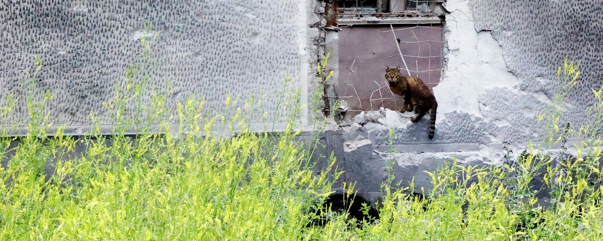 Las consecuencias de los bombardeos ucranianos - Sputnik Mundo, 1920, 03.09.2022