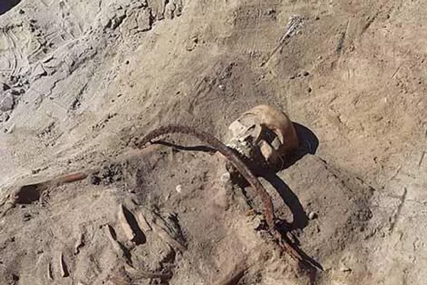 La tumba del siglo XVII con una supuesta vampira encontrada en Polonia - Sputnik Mundo