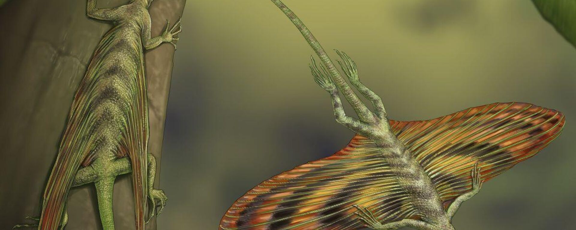 Coelurosauravus elivensis, el primer reptil planeadore de la Tierra
Coelurosauravus elivensis, el primer reptil planeadore de la Tierra
- Sputnik Mundo, 1920, 09.09.2022