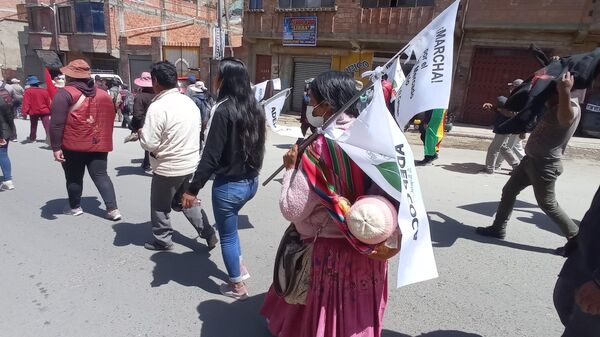 Marcha de cocaleros de los Yungas en La Paz - Sputnik Mundo