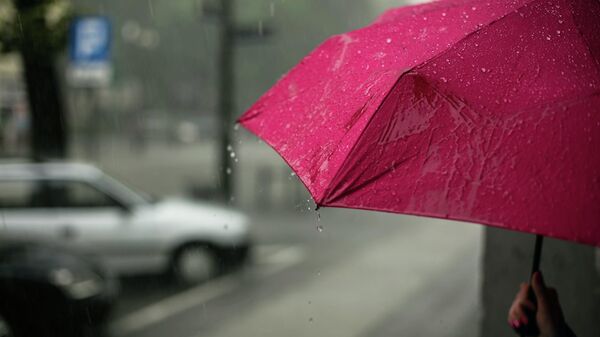 Una lluvia (imagen referencial) - Sputnik Mundo