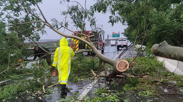 El huracán Fiona en Puerto Rico - Sputnik Mundo