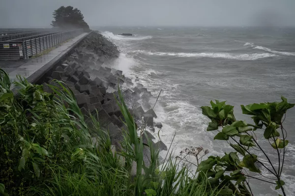 El fuerte tifón Nanmadol golpeó el suroeste de Japón el domingo 18 de septiembre. El paso del tifón está acompañado de fuertes vientos con ráfagas de hasta 45 m/s y fuertes lluvias.En la foto: una tormenta generada por el tifón Nanmadol en la prefectura de Kumamoto, en la isla de Kyushu. El fuerte tifón Nanmadol golpeó el suroeste de Japón el domingo 18 de septiembre. El paso del tifón está acompañado de fuertes vientos con ráfagas de hasta 45 m/s y fuertes lluvias.En la foto: una tormenta generada por el tifón Nanmadol en la prefectura de Kumamoto, en la isla de Kyushu. - Sputnik Mundo