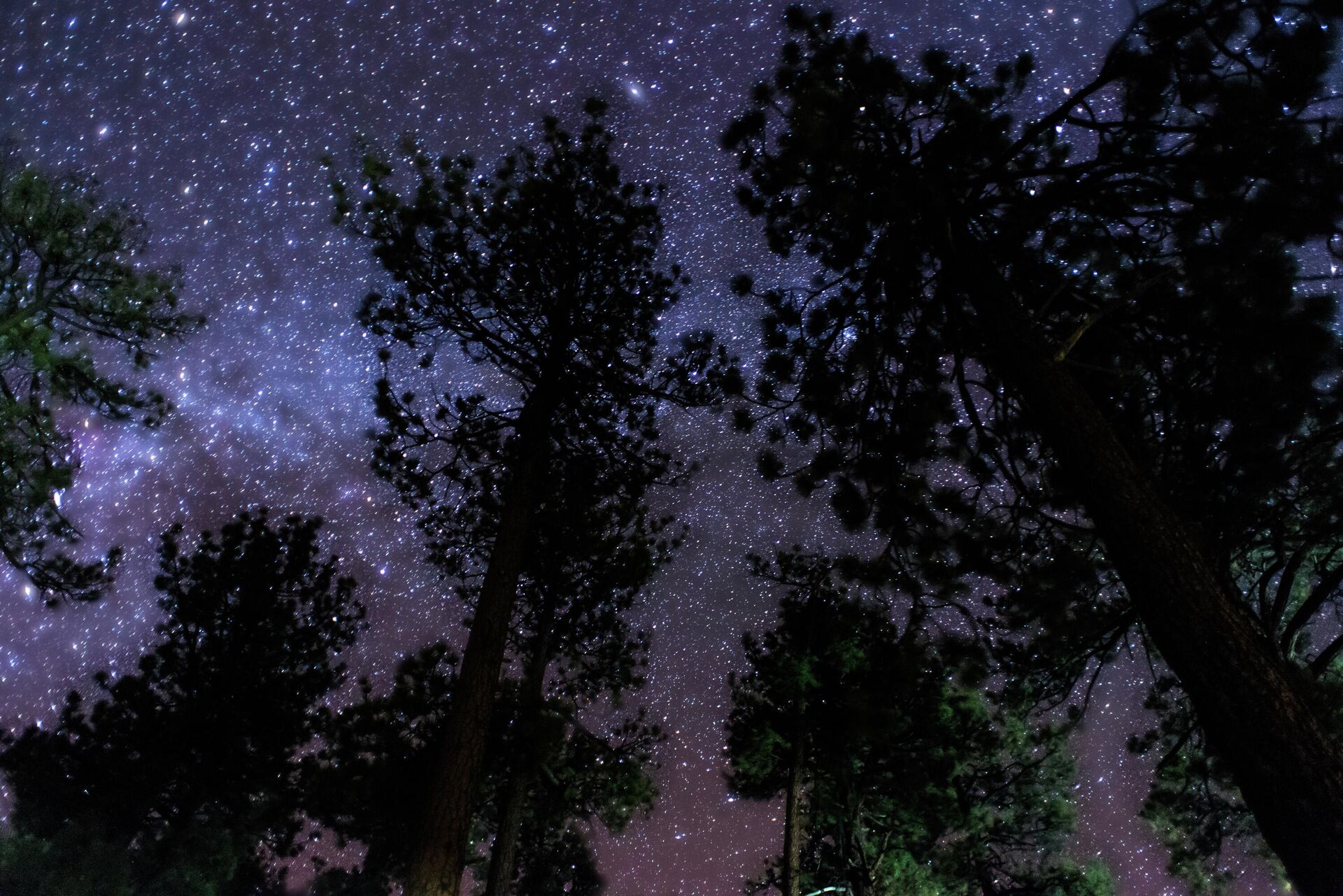 Cielo estrellado en San Pedro Mártir, en Baja California - Sputnik Mundo, 1920, 20.09.2022