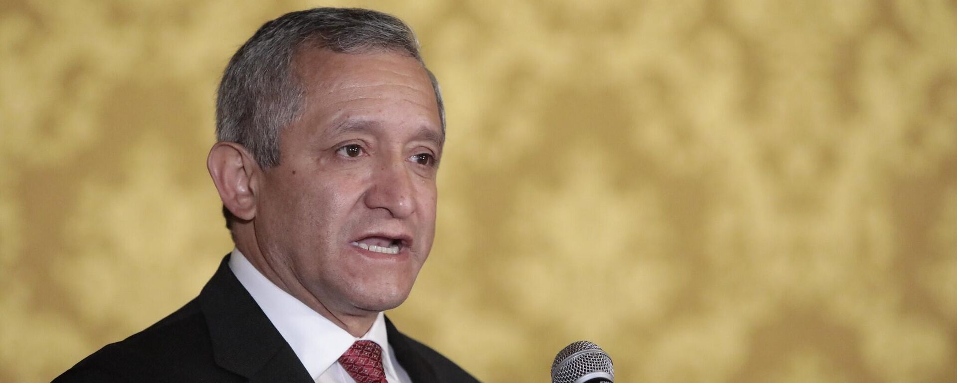Patricio Carrillo, el exministro del Interior de Ecuador,  - Sputnik Mundo, 1920, 23.02.2023