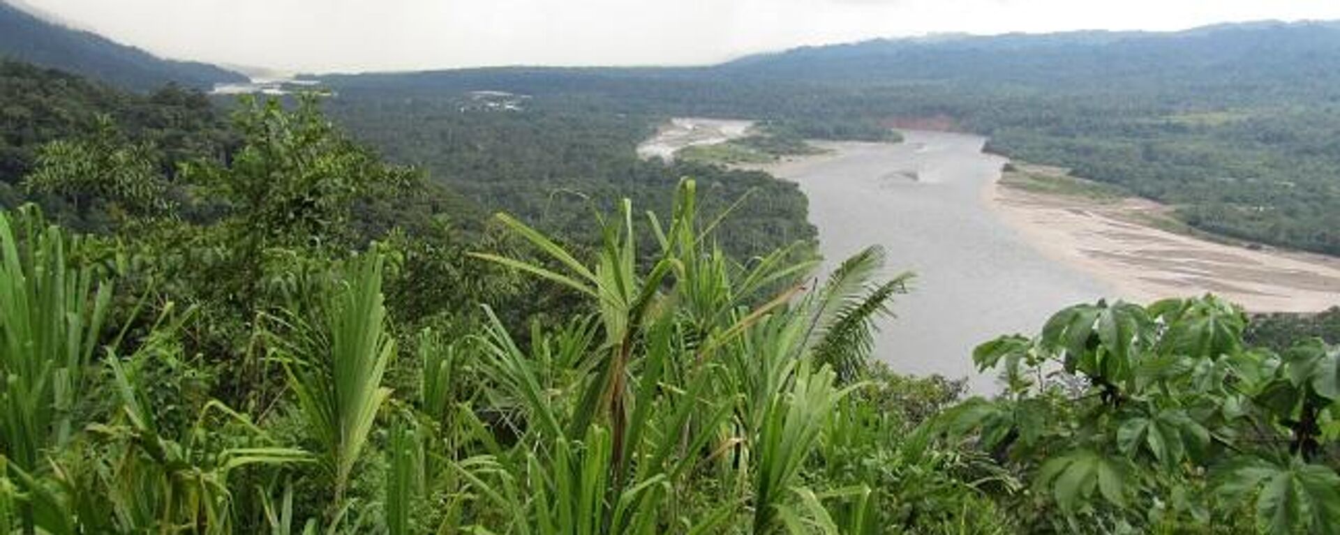 Parque nacional del Manu - Sputnik Mundo, 1920, 27.09.2022