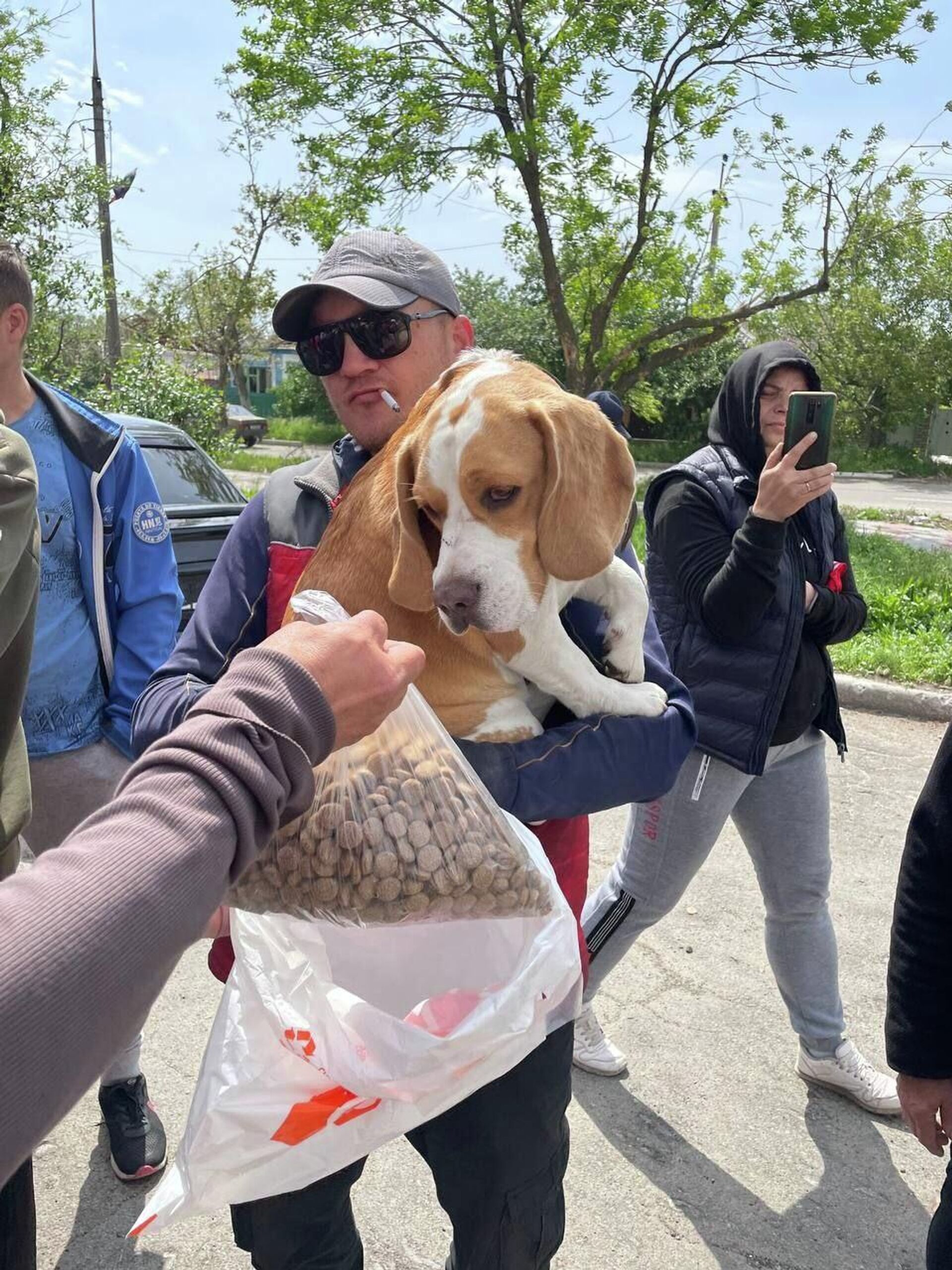 ¿Cómo rescatan a los animales en los territorios liberados de Donbás? - Sputnik Mundo, 1920, 06.10.2022