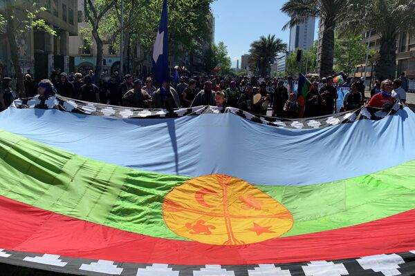 La bandera mapuche - Sputnik Mundo