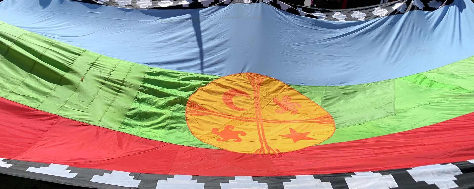 Manifestantes con la bandera mapuche - Sputnik Mundo, 1920, 05.11.2022