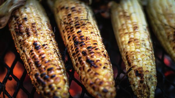 Maíz asado - Sputnik Mundo