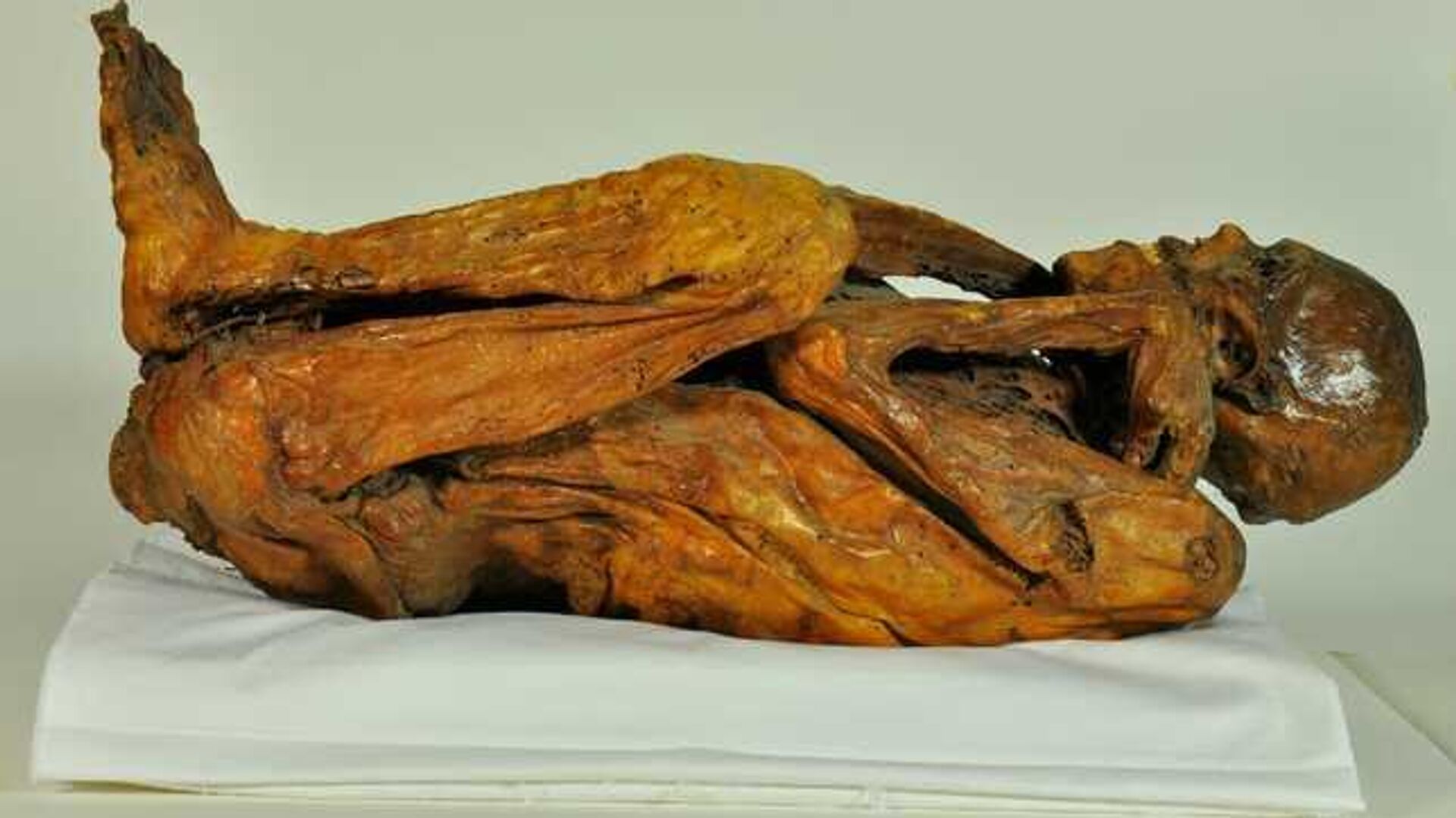 Las momias serán repatriadas hacia finales de octubre, adelantó el Gobierno peruano. - Sputnik Mundo, 1920, 19.10.2022