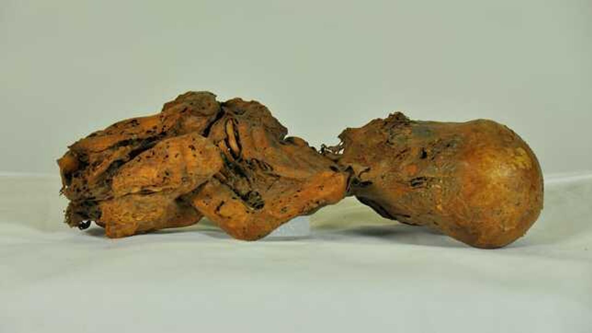 Las piezas estaban bajo resguardo del Museo Etnológico Vaticano. - Sputnik Mundo, 1920, 19.10.2022