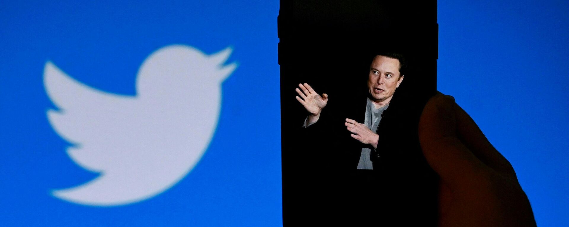 Elon Musk en una ilustración al lado de su nueva empresa: Twitter - Sputnik Mundo, 1920, 12.11.2022